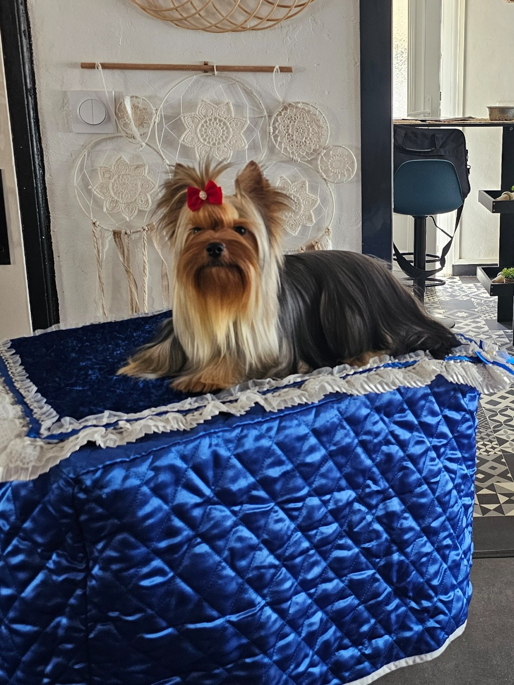 life image 18Forever Rainira Agata