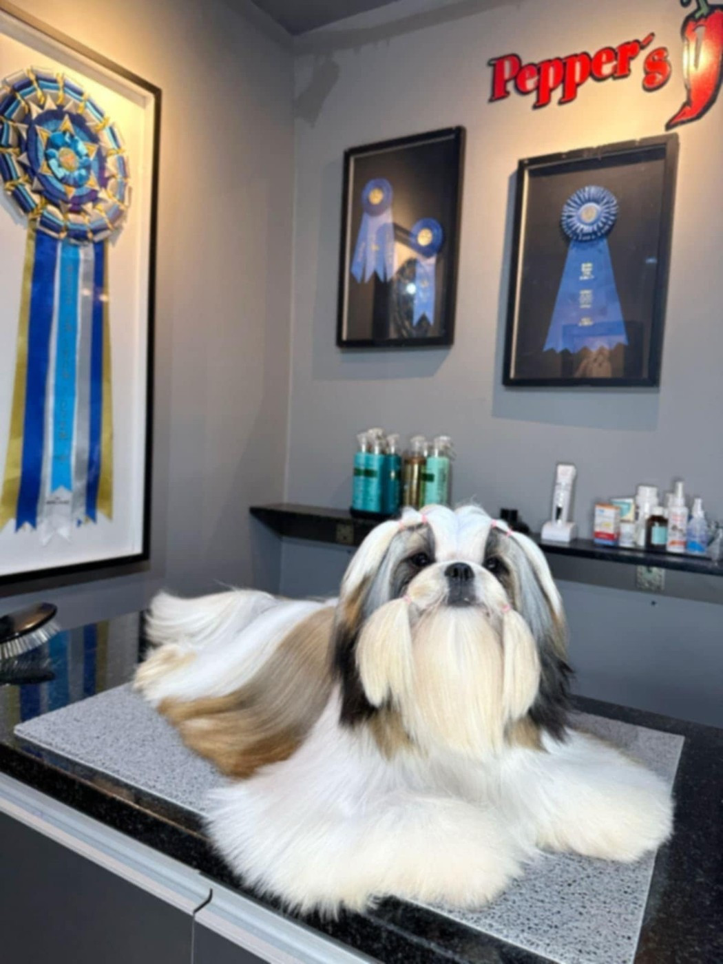 br pepper's Talk T'Boss